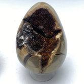 Dragons Egg Septarian Nodule